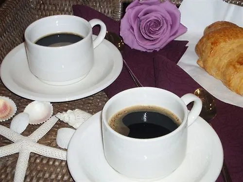 Ines Hotel Cattolica